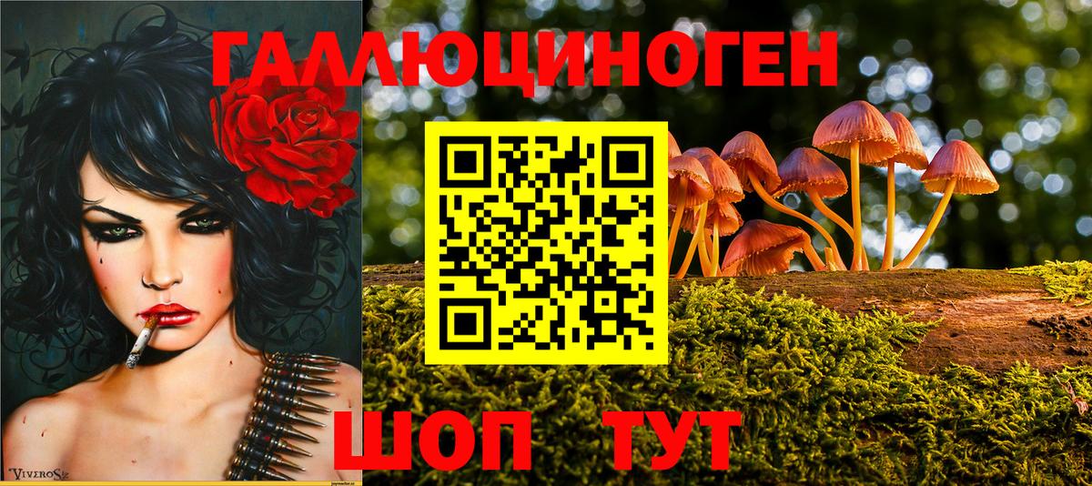 Белово  Галлюциногенные грибы Magic Shrooms  Галлюциногенные грибы GOLDEN TEACHER  Вход с VPN 