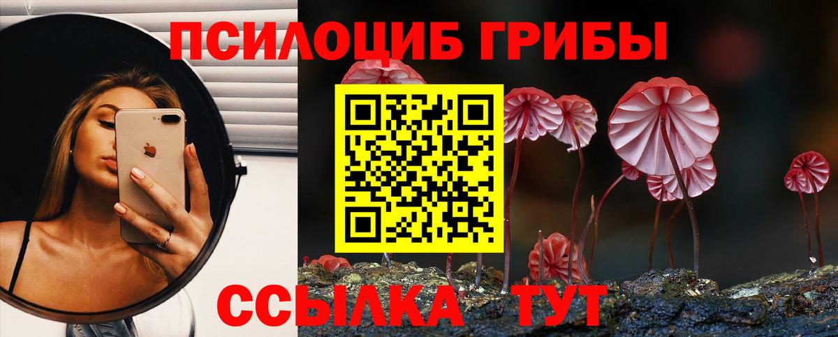 Галлюциногенные грибы Psilocybe Белово